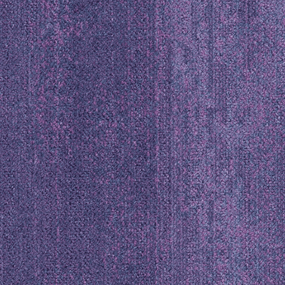 CMP38L
