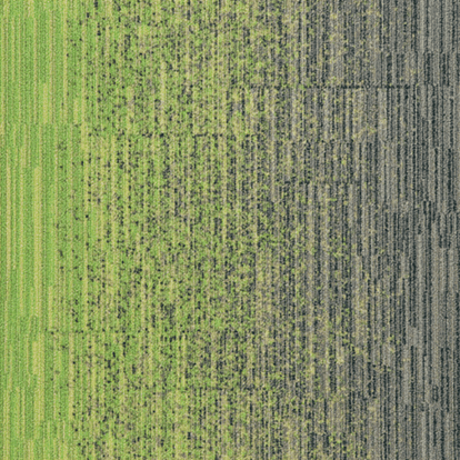 LLT141-103173-06M