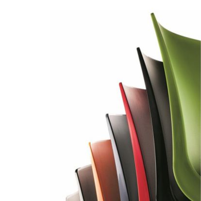 Ari (6)
