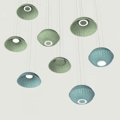 Sea Urchin (4)